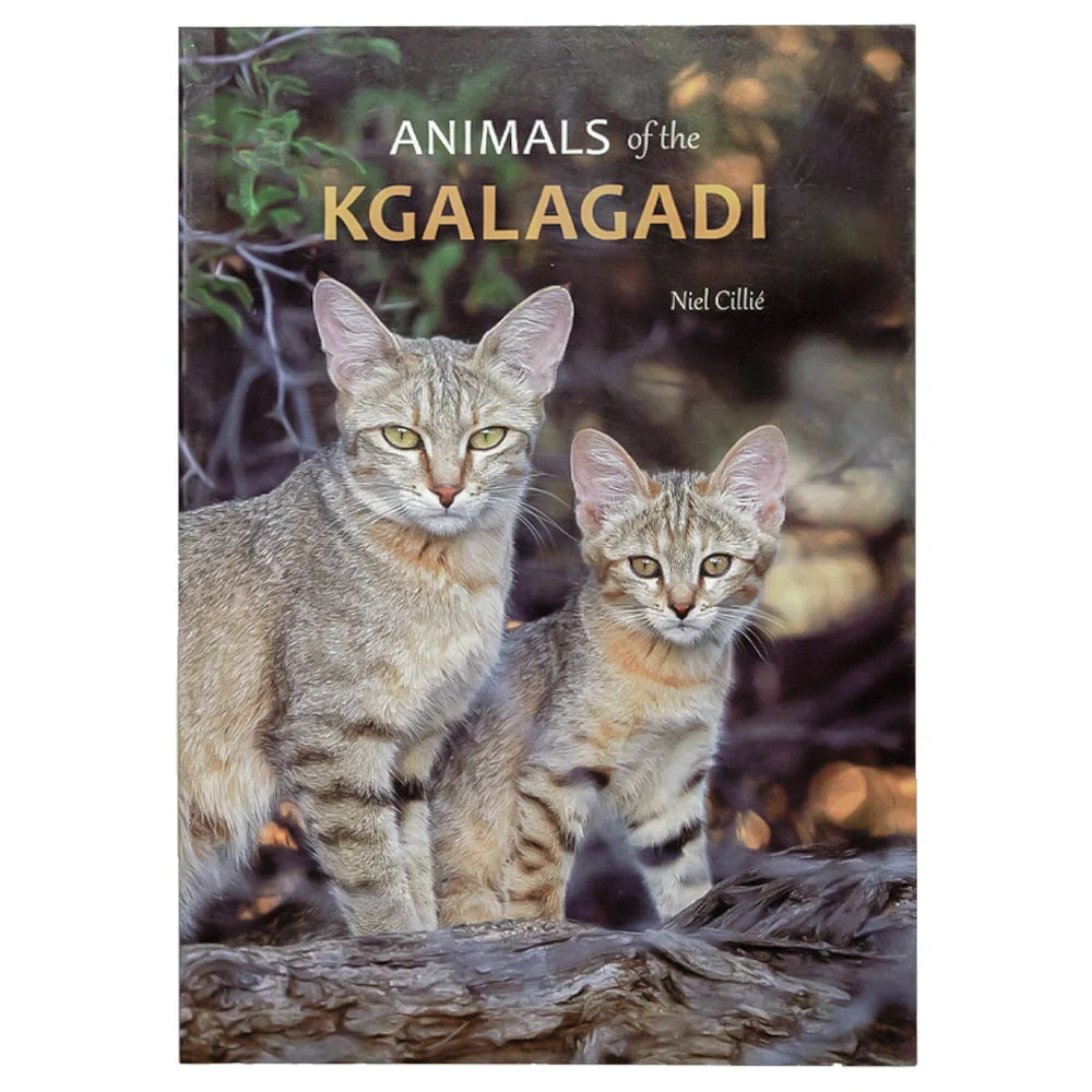 Animals of the Kgalagadi by Niel Cillie