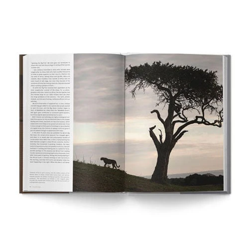 The Big Seven: Adventures in Search of Africa‘s Iconic Species by Gerald Hinde & Will Taylor - Image 5