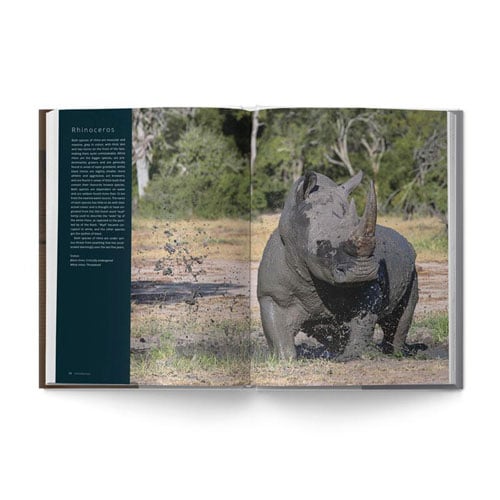 The Big Seven: Adventures in Search of Africa‘s Iconic Species by Gerald Hinde & Will Taylor - Image 6
