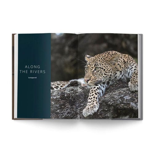 The Big Seven: Adventures in Search of Africa‘s Iconic Species by Gerald Hinde & Will Taylor - Image 7