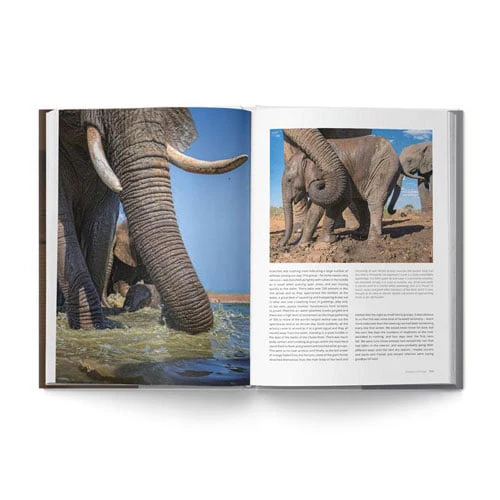 The Big Seven: Adventures in Search of Africa‘s Iconic Species by Gerald Hinde & Will Taylor - Image 8