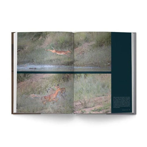 The Big Seven: Adventures in Search of Africa‘s Iconic Species by Gerald Hinde & Will Taylor - Image 9