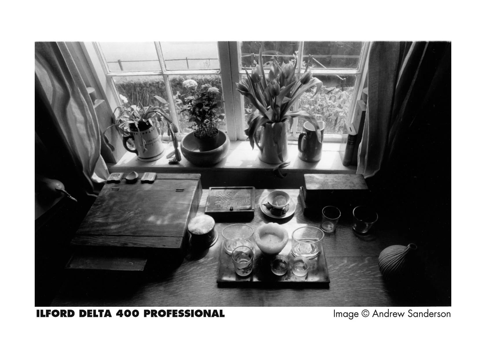 Ilford Delta 400 Professional 35mm Black and White Film (36 Exposures) - Image 3