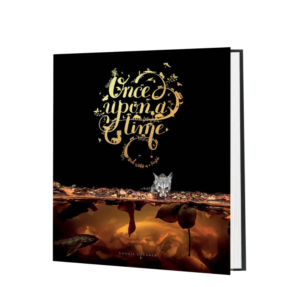 Once Upon A Time by Hannes Lochner