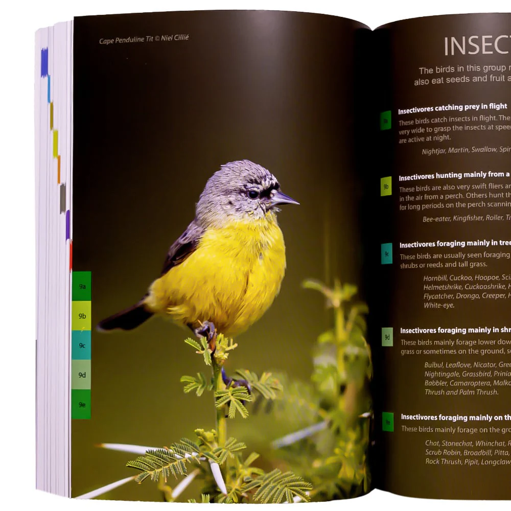 VELD Birds of Southern Africa: The complete photographic guide - Image 3
