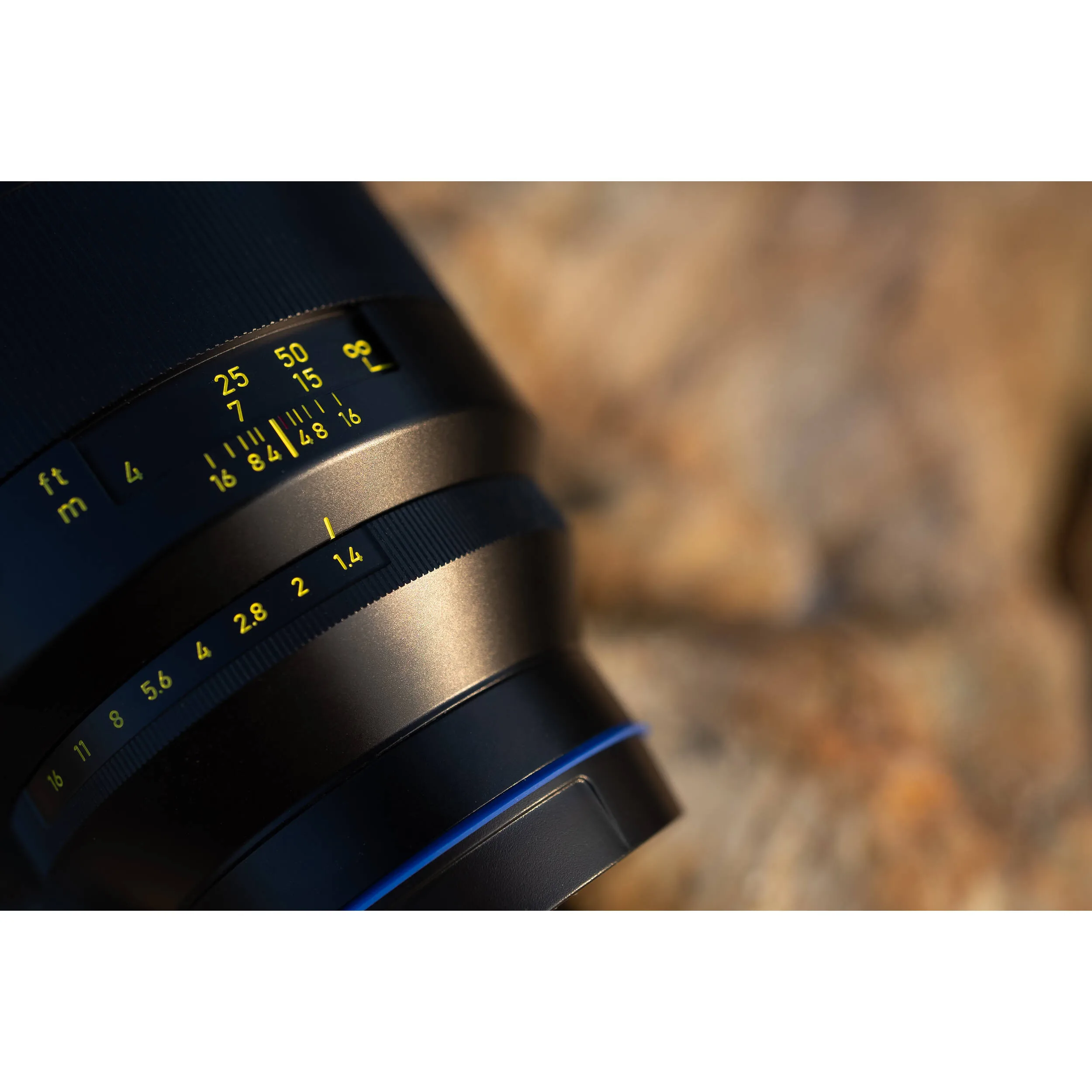 Zeiss Otus ML 85mm f/1.4 for Sony E - Image 6